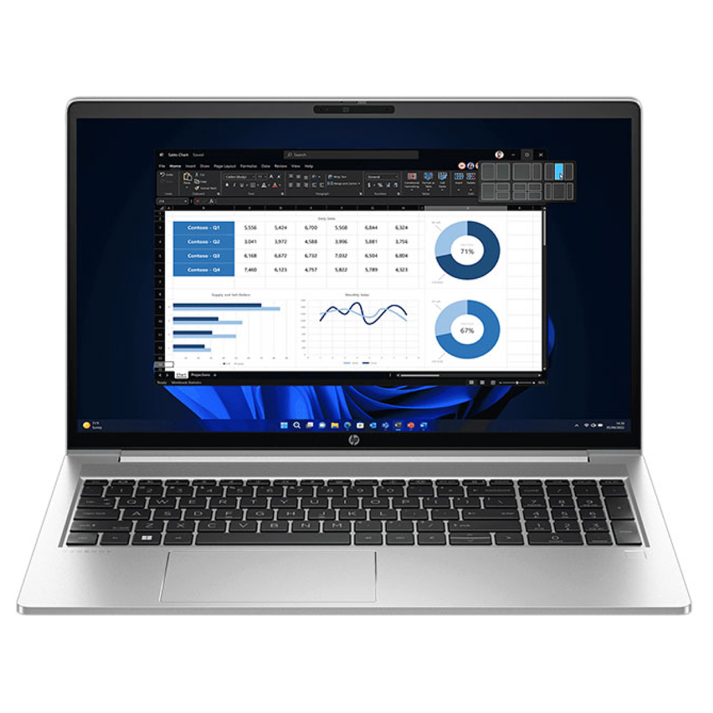 HP Probook 455 G10 878U6PA