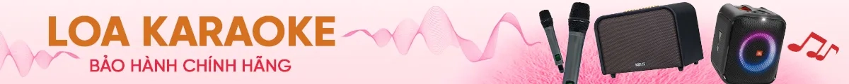 Loa Karaoke