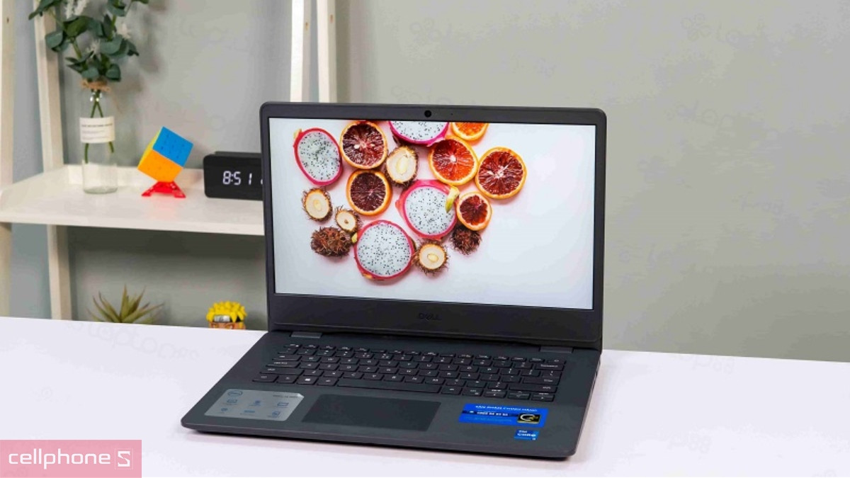 laptop Dell i3 có thể dùng tấm nền IPS hoặc WVA/TN