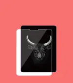iPad Pro 12.9