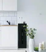 Máy lọc nước ion kiềm