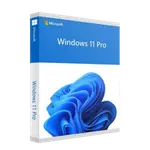 Windows 11