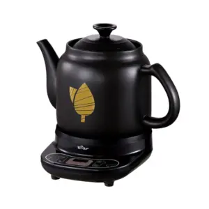 Ấm sắc thuốc Bear HTM - 4H40X