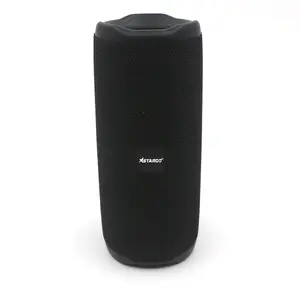 Loa Bluetooth StarGO Flex Go