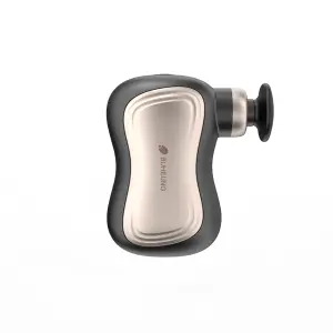 Máy massage cầm tay Buheung MK-335