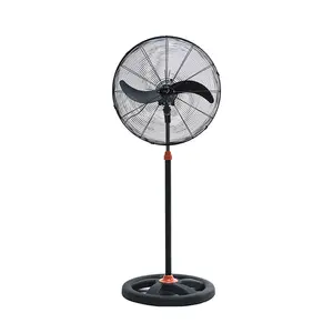 Quạt đứng CN Asiavina - D24001-DV0