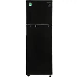 Tủ lạnh Samsung 256L 2020 RT25M4032BU/SV