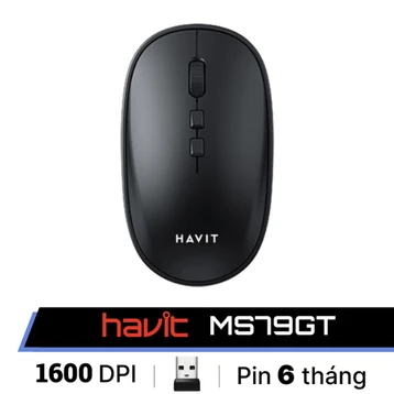 Chuột không dây Havit MS79GT