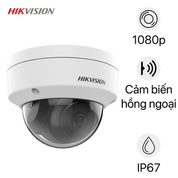 Camera IP Hikvision DS-2CD1121G0-I
