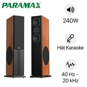 Cặp loa karaoke PARAMAX LX-3800 240W