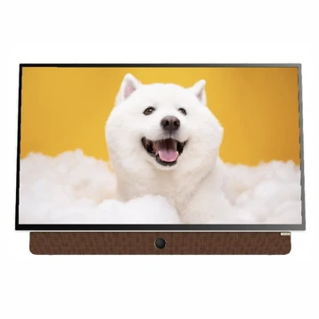 Google Tivi di động Coocaa 2K 24 inch 24LP6000G - Cũ