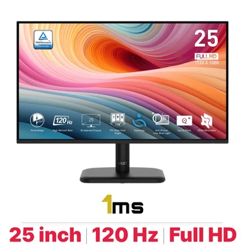 Màn hình MSI Pro MP251L E2 25 inch