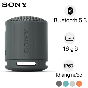 Loa Bluetooth Sony SRS-XB100 Extra Bass - Cũ