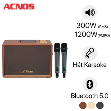 Loa karaoke xách tay ACNOS D'AURIS 300
