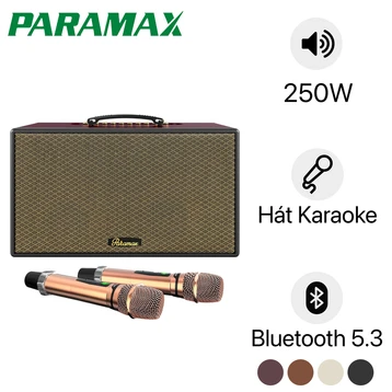 Loa karaoke xách tay PARAMAX Aura