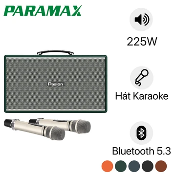 Loa karaoke xách tay PARAMAX Pasion Enzo
