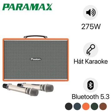 Loa karaoke xách tay PARAMAX Pasion Mozo