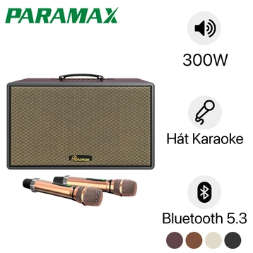 Loa karaoke xách tay PARAMAX Saga