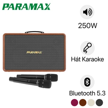 Loa karaoke xách tay PARAMAX Sonus R