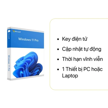 Phần mềm Win11 Pro dùng cho 1 máy vĩnh viễn (HAV-00163) (bản key điện tử)