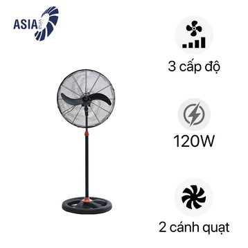 Quạt đứng CN Asiavina - D24001-DV0