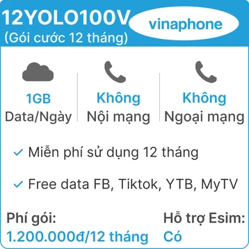 Sim 4G Vinaphone 12YOLO100 (1GB/Ngày) (Free Tiktok, YTB, FB) - 12 tháng (Thành phẩm)