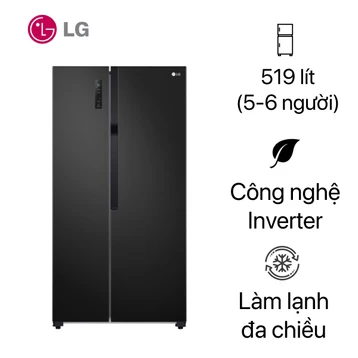 Tủ lạnh LG Side By Side 519 lít 2023 (GR-B256BL)