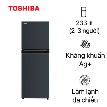Tủ lạnh Toshiba 233 lít 2023 (GR-RT303WE-PMV(52))