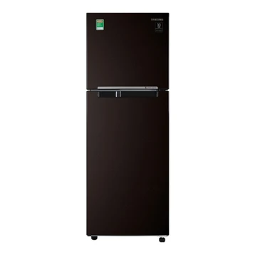 Tủ lạnh Samsung Inverter 236 lít RT22M4032BY/SV 