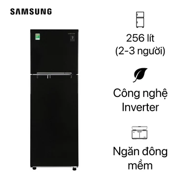 Tủ lạnh Samsung 256L 2020 RT25M4032BU/SV
