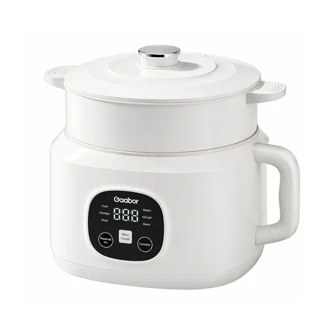 Nồi cơm điện đa năng Gaabor EC-30T01A