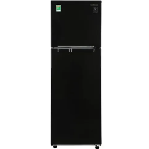 Tủ lạnh Samsung 256L 2020 RT25M4032BU/SV