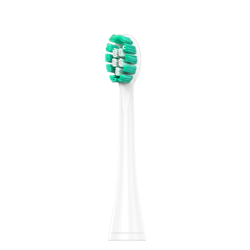 Đầu Bàn Chải Điện 2 Trong 1 H2Ofloss Hf - S01