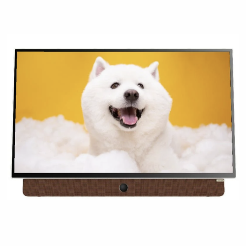 Google Tivi Di Động Coocaa 2K 24 Inch 24Lp6000G