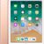 Apple iPad 9.7 2018 4G 128GB Vàng Cũ