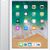 Apple iPad 9.7 2018 4G 128GB Bạc Cũ