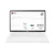 Laptop LG gram 2020 15Z90N-V.AR55A5 Trắng - Free OS