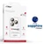 Miếng dán camera iPhone 14 Pro/14 Pro Max Zeelot Pishield Sapphire viền màu-Vàng