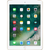 Apple iPad 9.7 2017 4G 128GB Cũ đẹp-Vàng