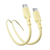 Cáp Innostyle PowerNova USB-C to C 60W dài 1.5m ICC150-Vàng
