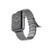 Dây đeo Apple Watch Raptic Classic Plus Band 38/40mm-Bạc