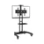 Giá treo tivi di động North Bayou AVA1500-60-1P (32 - 75 inch)-Đen