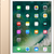 Apple iPad 9.7 Wi-Fi 128GB Vàng Chính hãng
