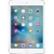 Apple iPad mini 4 Wi-Fi 128GB cũ-Silver