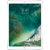 Apple iPad Pro 10.5 4G 64GB-Đã kích hoạt-Silver