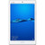 Huawei MediaPad M3 2017 Chính hãng-Đã kích hoạt -Silver