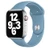 Dây đeo Apple Watch Sport Band 42/44 mm Apple chính hãng-Norther Blue