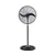 Quạt đứng CN Asiavina - D24001-DV0-Đen