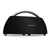 Loa Harman Kardon Go + Play 2-Đen