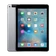 Apple iPad Air 2 4G 64GB cũ-Gray